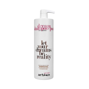  Artego Dream Shampoo 1000ml