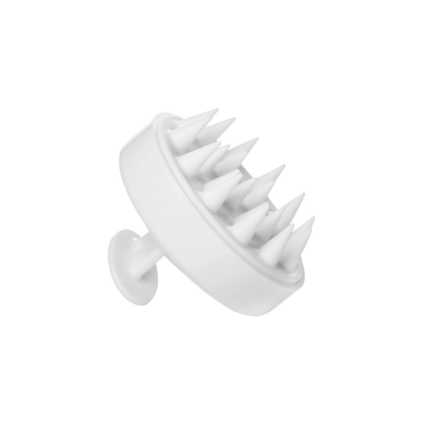 SACHAJUAN Scalp Brush 